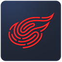 11. 可再生能源消费强制比例制度全国推行